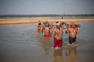 Tapajós sob o Sol – estudo inédito sobre riqueza socioambiental e de biodiversidade da bacia do Tapajós