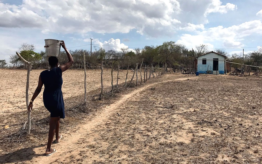 SECA NO BRASIL: O HOMEM, A TERRA E A LUTA