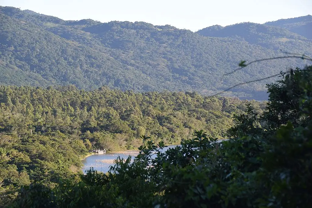 Obras de irrigação em áreas de preservação permanente: Utilidade pública para quem?