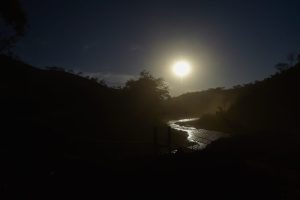 UM REM&Eacute;DIO AMARGO NO DOCE