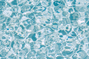 Governança da Água no Comitê das Bacias Hidrográficas do Litoral Norte (Paraíba) com uso do protocolo do OGA